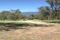 Property photo of 373 Slaters Lane Candelo NSW 2550