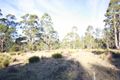 Property photo of 45 Holders Road Patersonia TAS 7259
