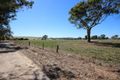 Property photo of 8 Short Street Mintaro SA 5415