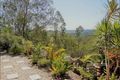 Property photo of 31-33 White Place Kooralbyn QLD 4285