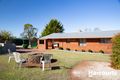 Property photo of 125 Wadleys Road Reedy Marsh TAS 7304
