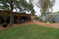 Property photo of 19 Dennis Street Berri SA 5343