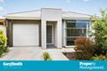 Property photo of 8 Collins Avenue Edwardstown SA 5039