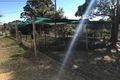 Property photo of 4 Armstrong Street Rylstone NSW 2849