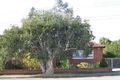 Property photo of 15 Hayes Street Lidcombe NSW 2141