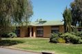 Property photo of 48 Parsons Street Marion SA 5043