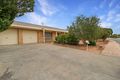 Property photo of 56 Meander Avenue Renmark SA 5341