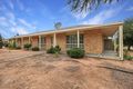 Property photo of 56 Meander Avenue Renmark SA 5341