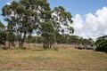 Property photo of 44 Eileen Drive Corindi Beach NSW 2456