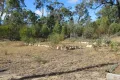 Property photo of 659 Joseph Road Tara QLD 4421