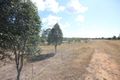 Property photo of 44 Haylocks Road Pine Creek QLD 4670