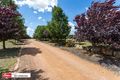 Property photo of 8 Barley Place Murrumbateman NSW 2582