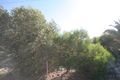 Property photo of 19 Woocalla Street O'Sullivan Beach SA 5166