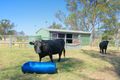 Property photo of 32 Suffield Drive Yamanto QLD 4305