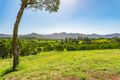 Property photo of 8 Jagera Court Closeburn QLD 4520