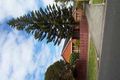 Property photo of 2/12 Bamfield Street Sandringham VIC 3191