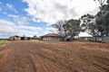 Property photo of 75 Germein Road Barmera SA 5345