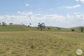 Property photo of 564 Linton-Naringhil Road Linton VIC 3360