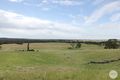 Property photo of 564 Linton-Naringhil Road Linton VIC 3360