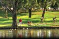 Property photo of 8 River Glen Drive Windsor Gardens SA 5087