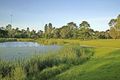 Property photo of 20 Violet Grove Kew East VIC 3102