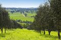 Property photo of 45 Old Lorne Road Deans Marsh VIC 3235