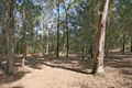 Property photo of 3105 Putty Road Colo Heights NSW 2756