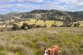 Property photo of Tarrants Gap Road Wyangala NSW 2808
