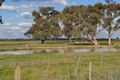 Property photo of 1265 Turnbull Road Toolamba VIC 3614