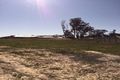 Property photo of 6 Burkella Close Mount Clear VIC 3350