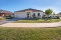 Property photo of 16 Cutri Drive Swan Hill VIC 3585