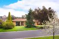 Property photo of 13 Maltby Drive Castlemaine VIC 3450