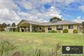 Property photo of 7 Yellow Box Place Manton NSW 2582