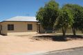 Property photo of 109 Sixteenth Street Renmark SA 5341