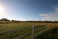 Property photo of 352 Bilwon Road Biboohra QLD 4880