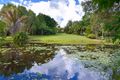 Property photo of 65 Rifle Range Road Palmwoods QLD 4555