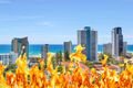 Property photo of LOT 1212/3018-3030 Surfers Paradise Boulevard Surfers Paradise QLD 4217
