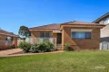 Property photo of 35 Carson Street Panania NSW 2213