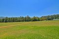 Property photo of 1267 Maleny-Kenilworth Road Conondale QLD 4552