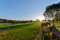 Property photo of 49-53 Dudley Road Wonga Park VIC 3115