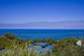 Property photo of 75A Ocean Road Lorne VIC 3232