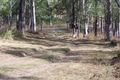 Property photo of 1285 Gaeta Road Gaeta QLD 4671