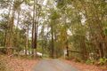 Property photo of 36 Platypus Creek Road Dulong QLD 4560