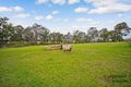Property photo of 146 Lyrebird Road Pheasants Nest NSW 2574