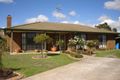 Property photo of 19 Phelan Drive Cranbourne North VIC 3977