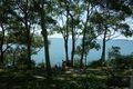 Property photo of 156 Skye Point Road Coal Point NSW 2283