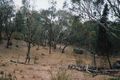 Property photo of 231 Ridge Road Cooks Gap NSW 2850