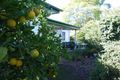 Property photo of 37 Gipps Street West Tamworth NSW 2340