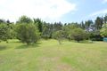 Property photo of 29 Tallowood Close Failford NSW 2430