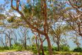 Property photo of 12/2 Macleay Drive Halekulani NSW 2262
